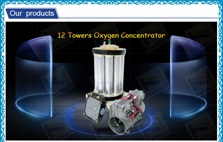 PSA Oxygen Generator Parts 10apm 
