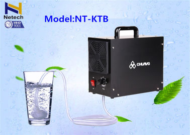 3g 5g Portable Hotel Ozone Machine Generator For Air And Water / Ozonizer For Hotel Room