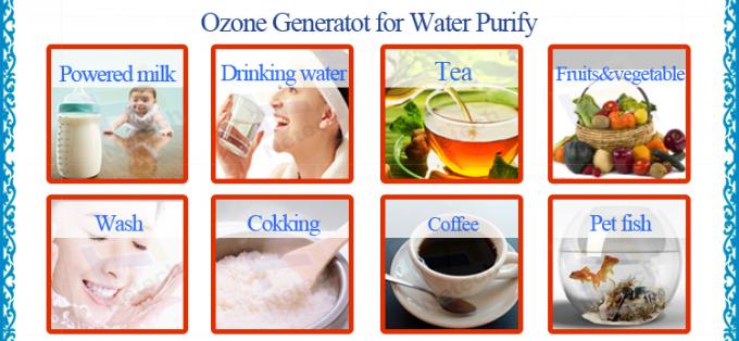 Ozon cleanor Residential Generator ozonu Myjka do owoców i warzyw